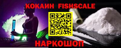 дмт Аргун