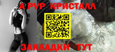 дмт Аргун
