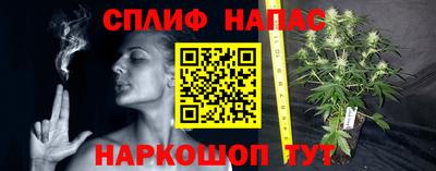 a pvp Апшеронск