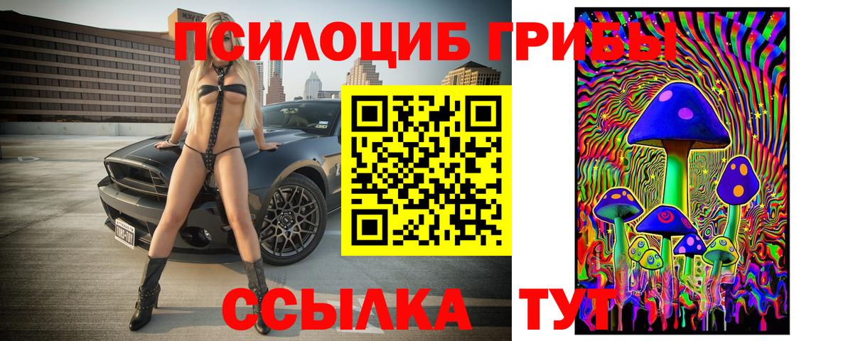 Галлюциногенные грибы Cubensis  Вход с VPN  сколько стоит  Батайск 