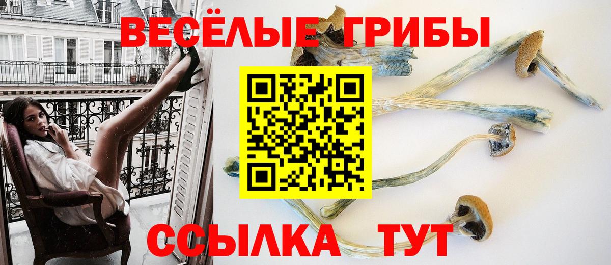 Псилоцибиновые грибы Psilocybine cubensis Батайск